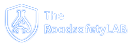 Road Safety Lab logo